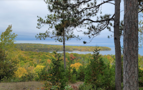 A scenic view of a colorful forested landscape with a lake, framed by tall trees under a cloudy sky.