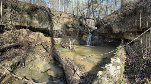 A serene forest scene featuring a small waterfall, rocky terrain, and trees surrounding a calm pool of water.