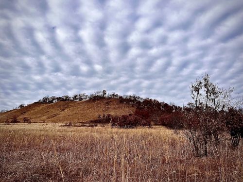 A grassy hill under a cloudy sky, surrounded by sparse trees and dry grass in a rural landscape.
