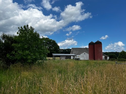 A rural scene featuring a white barn, two red silos, and tall grass under a blue sky with fluffy clouds.