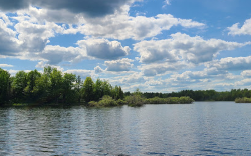 A serene lake surrounded by lush greenery and a blue sky filled with fluffy clouds.