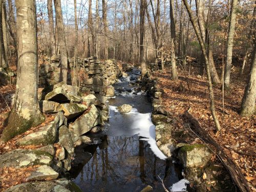 A serene forest scene with a small stream, surrounded by trees and scattered rocks, and patches of snow on the water.
