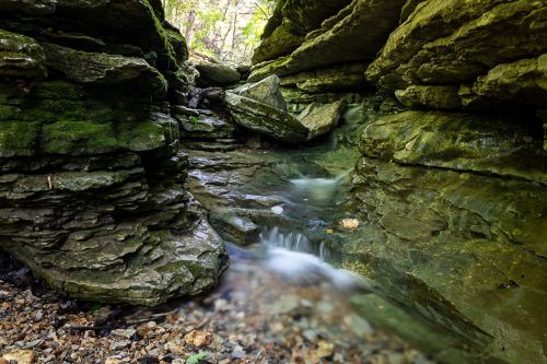 A serene stream flows through moss-covered rocks in a narrow canyon, surrounded by lush greenery.