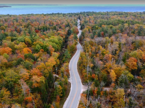 A winding road through vibrant autumn foliage, with a lake visible in the background.