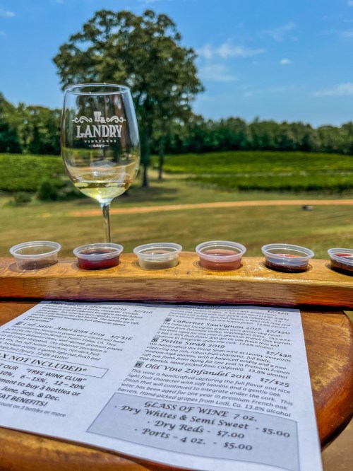 A wine tasting setup with a glass of white wine and several tasting samples, overlooking a vineyard under a blue sky.