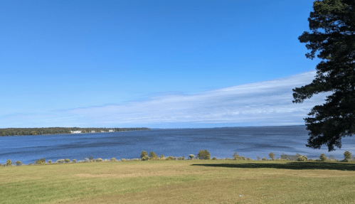 A serene view of a lake under a clear blue sky, with green grass in the foreground and trees on the right.