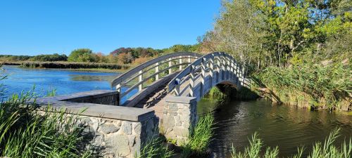 A wooden bridge arches over a calm river, surrounded by lush greenery and clear blue skies.