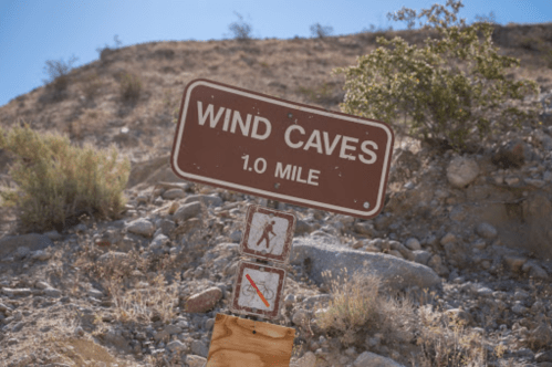 Sign indicating the Wind Caves trail, 1.0 mile ahead, with symbols for hiking and no pets allowed.