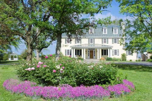 A charming yellow house with a green roof, surrounded by lush trees and colorful flower beds on a sunny day.