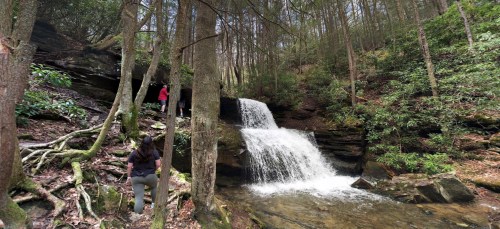 A serene waterfall cascades through a forest, with hikers exploring the area nearby.