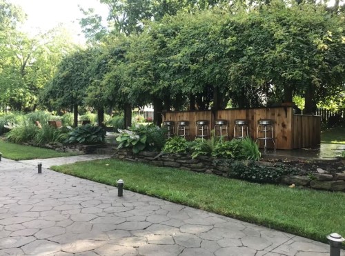 A lush garden with a wooden bar under a canopy of greenery, surrounded by plants and stone pathways.