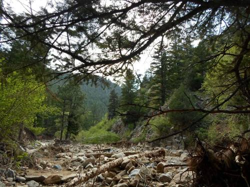 A rocky riverbed surrounded by lush green trees and mountains under a cloudy sky.