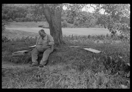 A man sits under a tree, resting on the ground with tools nearby, surrounded by a rural landscape.