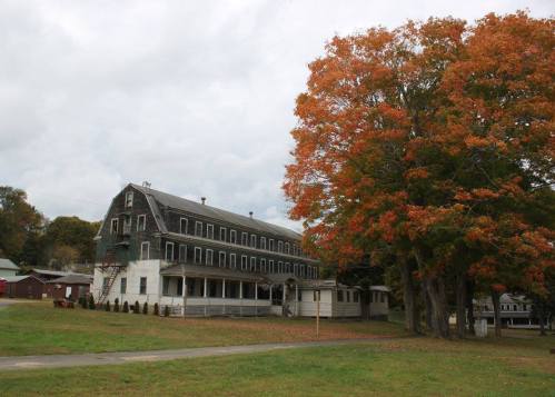 A large, historic building beside a vibrant orange tree, set against a cloudy sky.