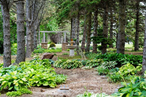 A serene garden path lined with lush hostas and surrounded by tall trees, featuring a stone fountain in the distance.