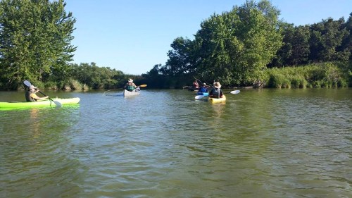 Four people kayaking on a calm river surrounded by lush greenery under a clear blue sky.