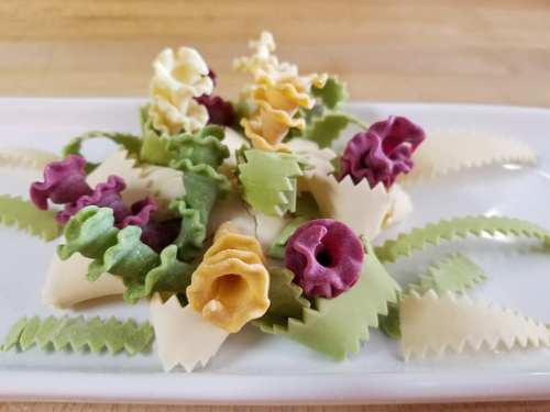 Colorful pasta arranged artistically on a white plate, featuring various shapes and vibrant hues of green, yellow, and purple.