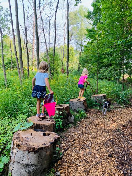 Two children walk on tree stumps in a forest, one holding a pink bucket and the other walking a dog.