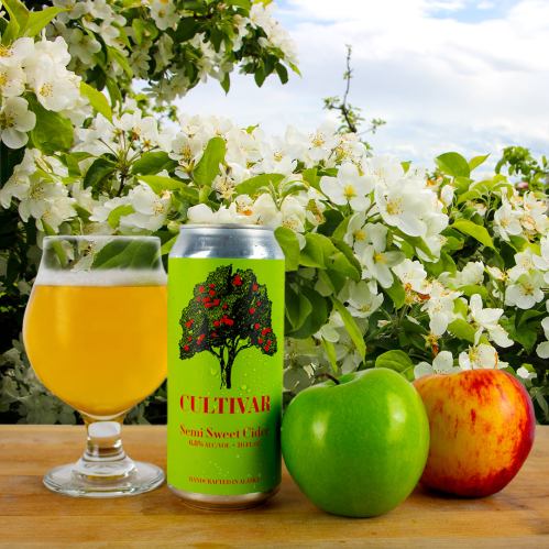 A glass of golden beer next to a can labeled "CULTIVAR," with green and red apples, set against blooming flowers.