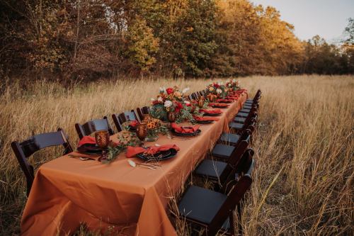 A long table set for a gathering in a field, adorned with flowers and autumn decor, surrounded by tall grass and trees.