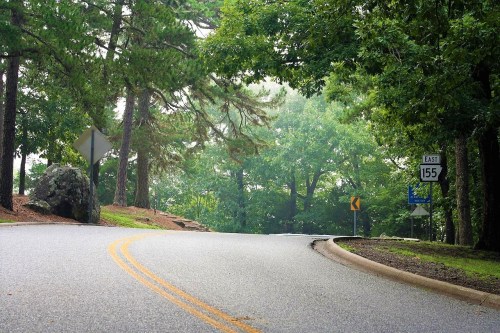 A winding road surrounded by lush green trees, with a sign for East 155 visible.