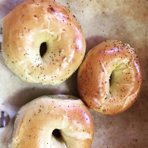 Three freshly baked bagels on a parchment-lined surface, featuring a mix of poppy seeds and a golden-brown crust.