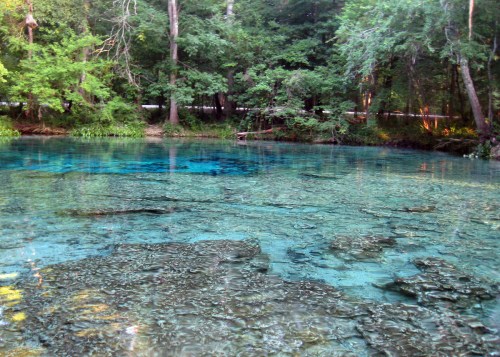 A serene, clear blue spring surrounded by lush green trees and foliage.