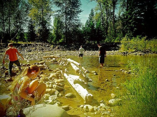 Four people wade through a shallow stream surrounded by trees and rocky banks on a sunny day.