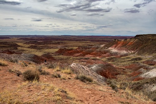 A vast desert landscape with colorful rock formations and a cloudy sky, featuring a lone figure in the distance.