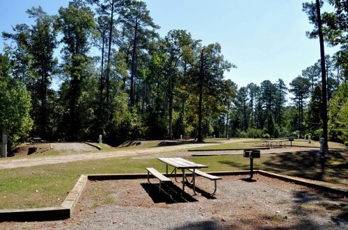 A picnic area with a table and grill, surrounded by trees and open space on a sunny day.