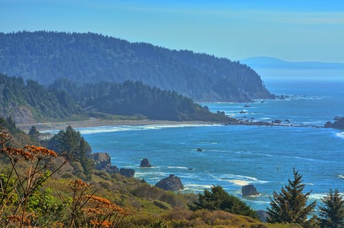 A scenic coastal view featuring rocky shores, lush greenery, and distant mountains under a clear blue sky.