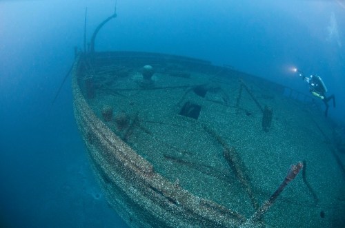 A diver explores a sunken shipwreck covered in marine life, surrounded by deep blue water.