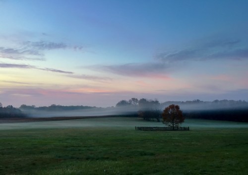 A serene landscape at dawn, featuring a misty field, a lone tree, and soft pastel skies.