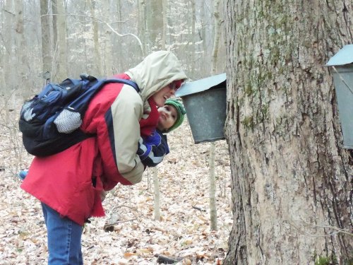 A person in a red coat and a child in a green hat look into a tree-mounted birdhouse in a wooded area.