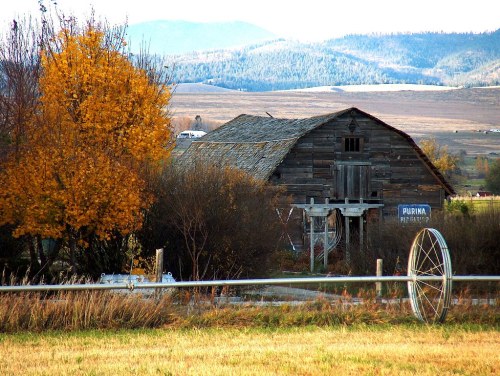 A rustic barn surrounded by autumn trees and mountains in the background, with a vintage wheel in the foreground.