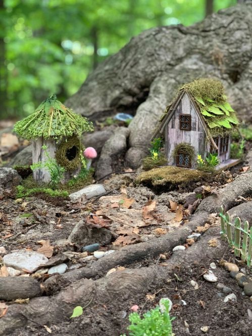 Two whimsical fairy houses made of natural materials, nestled among tree roots and surrounded by greenery and stones.