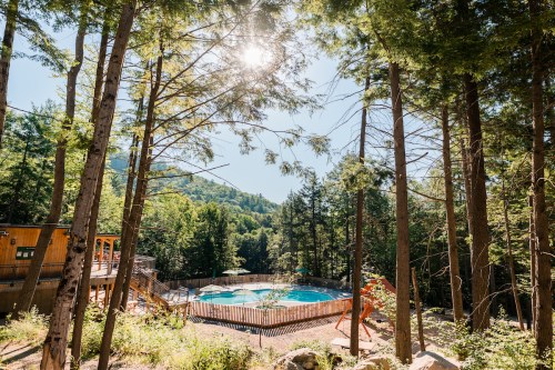 A serene outdoor pool surrounded by tall trees and mountains under a bright sun.