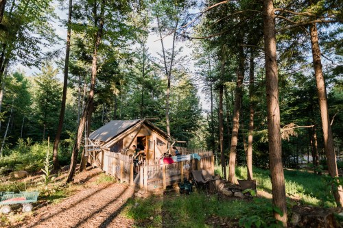 A cozy cabin nestled in a forest, surrounded by tall trees and dappled sunlight, with a path leading to it.