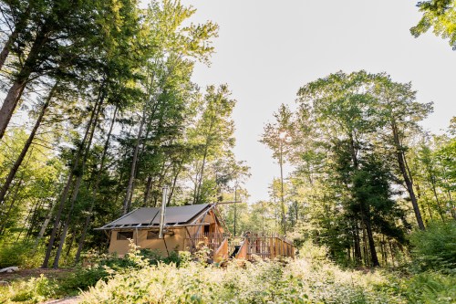A cozy cabin nestled among tall trees in a lush green forest, with sunlight filtering through the leaves.