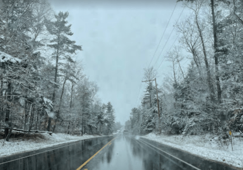 A snowy road lined with trees, with falling snow and a wet surface reflecting the overcast sky.