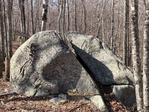A large, weathered boulder sits among bare trees in a forest, with fallen leaves scattered around its base.