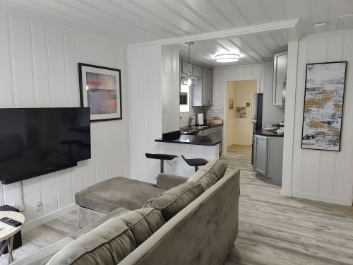 Cozy living area with a sofa, TV, and open kitchen featuring modern appliances and light-colored decor.