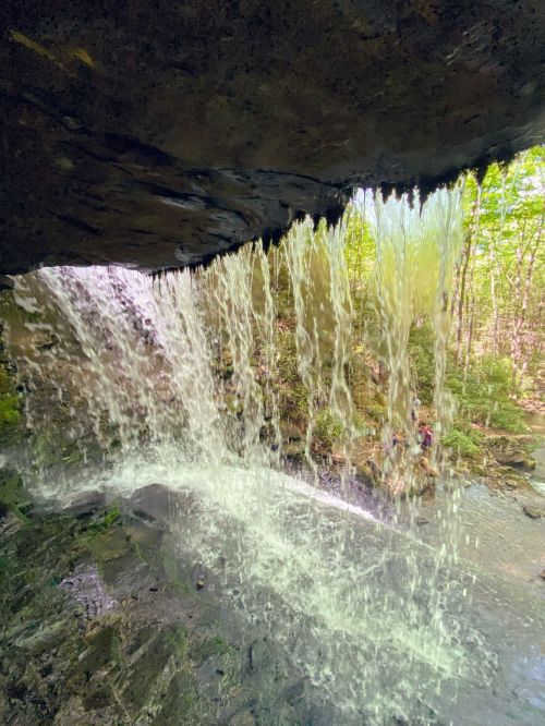 A waterfall cascades over rocks, surrounded by lush greenery and a glimpse of a person in the background.