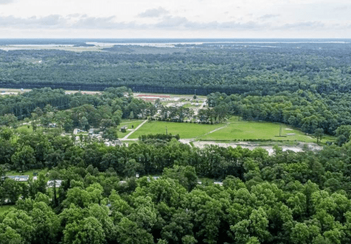 Aerial view of lush green trees and fields, with a small community and distant water in the background.