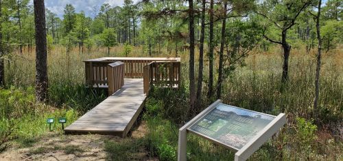 A wooden observation deck overlooks a grassy wetland area, with informational signage nearby and trees in the background.