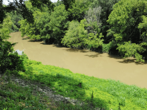 A muddy river flows through a lush green landscape, surrounded by trees and vegetation.