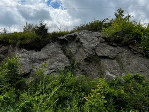 A rocky cliffside covered with greenery and shrubs under a cloudy sky.