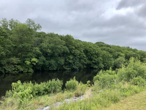 A serene river bordered by lush green trees under a cloudy sky.