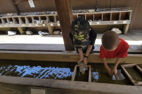 Two children are sifting through water in a rock and mineral exhibit, each holding a bag.