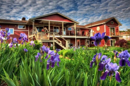 A red house with a porch surrounded by vibrant purple irises under a cloudy sky.